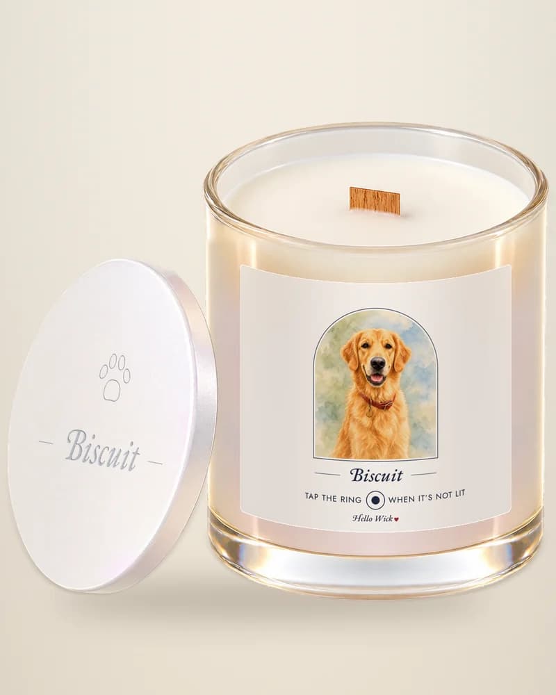 A Hello Wick candle labelled Biscuit, with a watercolour of the dog, its lid beside it